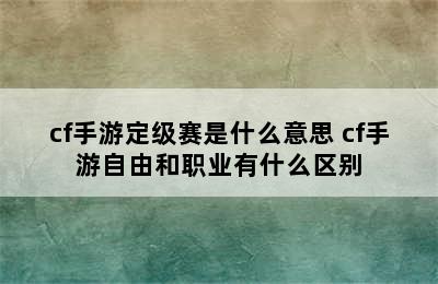 cf手游定级赛是什么意思 cf手游自由和职业有什么区别